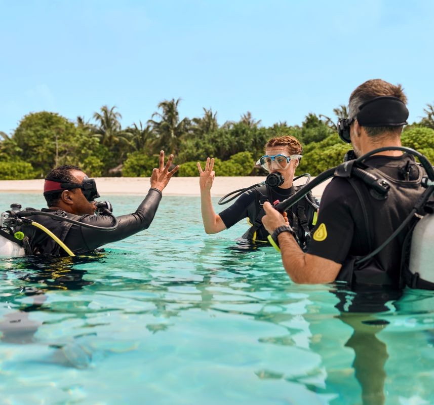 RCMN_DIVING_15934_WOL_857x800.jpg