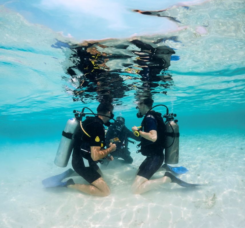 RCMN_DIVING_15935_WOL_857x800.jpg  