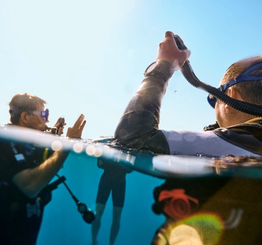 RCSM_Sea_Diving_15403_WOL_857x800.jpg  
