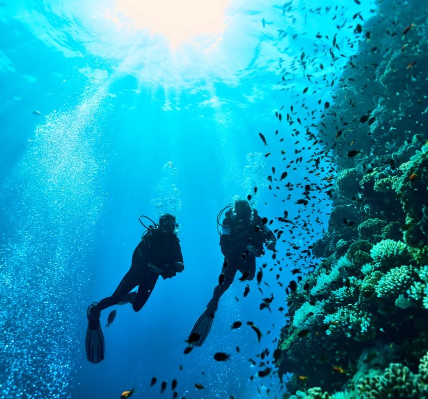 RCSM_Sea_Diving_15566_1_WOL_857x800.jpg  