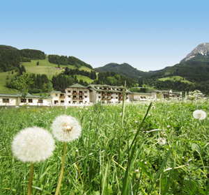 Wiese-Huetten.jpg  