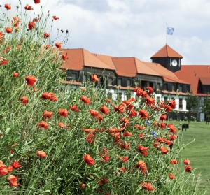 Klatschmohn mit Hotelanlage im Hintergrund.